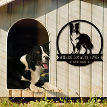 Border Collie Custom Metal Sign