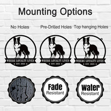 Border Collie Custom Metal Sign